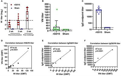 Hemagglutinin-Specific Non-neutralizing Antibody Is Essential for Protection Provided by Inactivated and Viral-Vectored H7N9 Avian Influenza Vaccines in Chickens